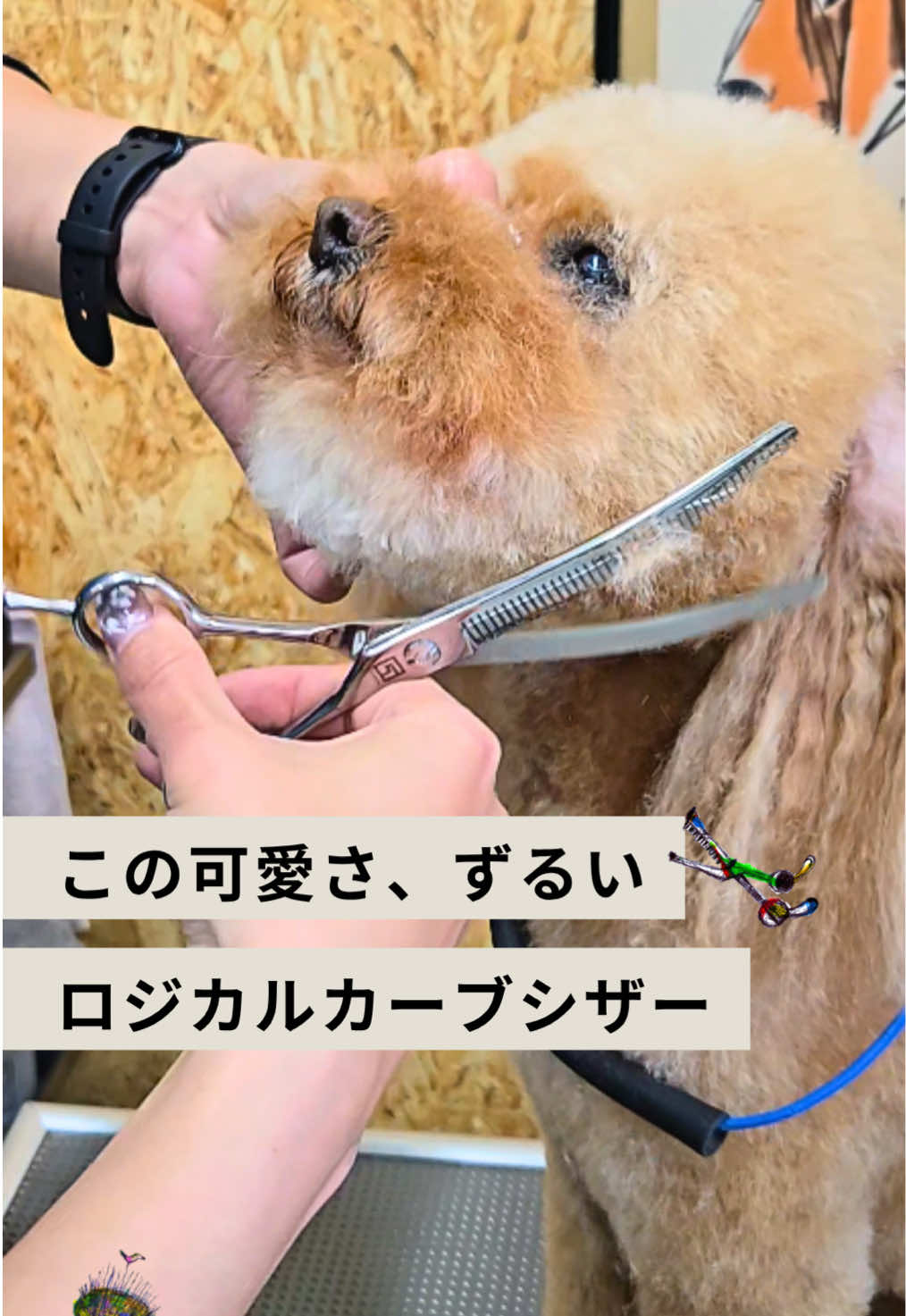 @Svans（スバンス）｜トリマー向けシザー&バリカン専門
