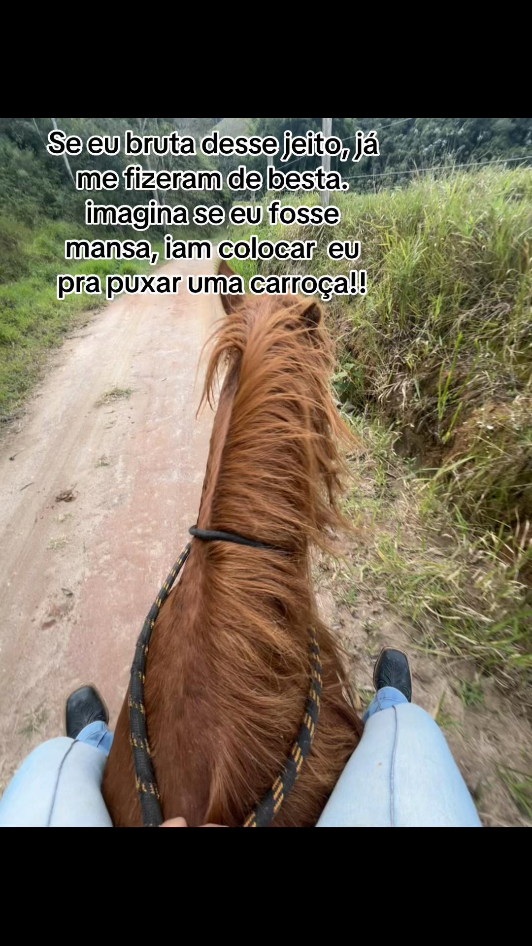 @Vitória