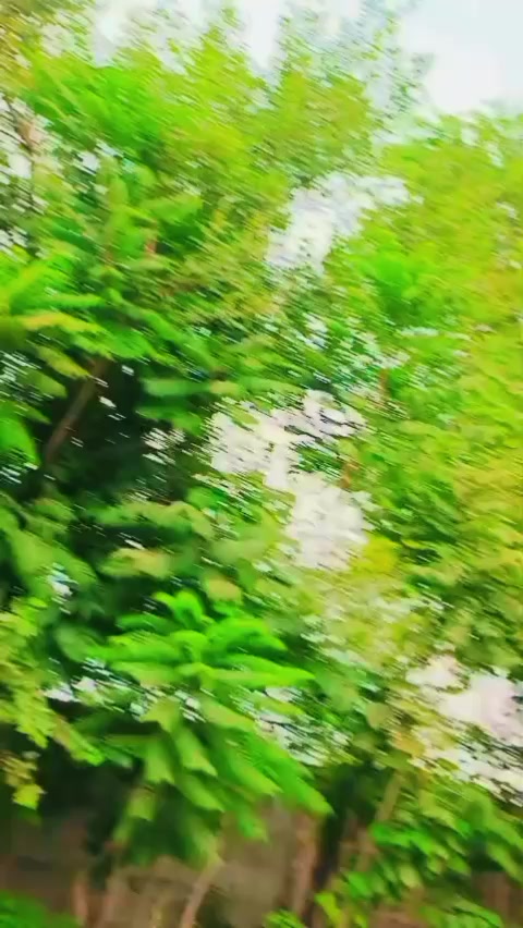 @ملنگ جان .302🇵🇰