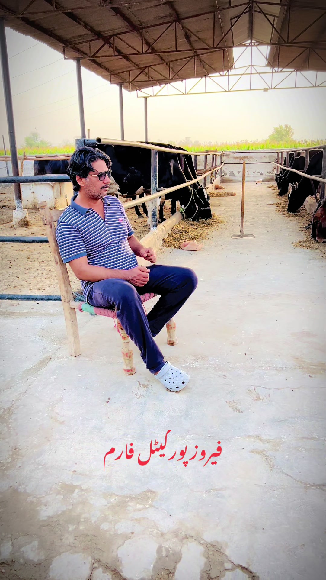 @سردارشہزاداحمدڈوگرايڈوکيٹ ⚖️