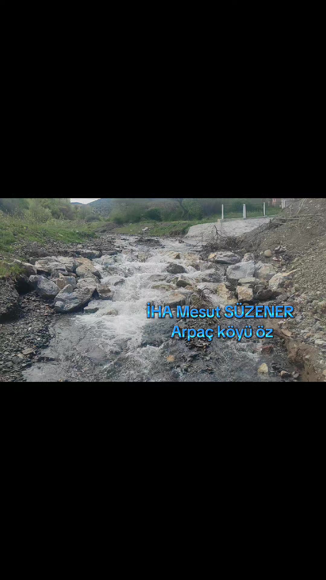 @mesut s&uuml;zener