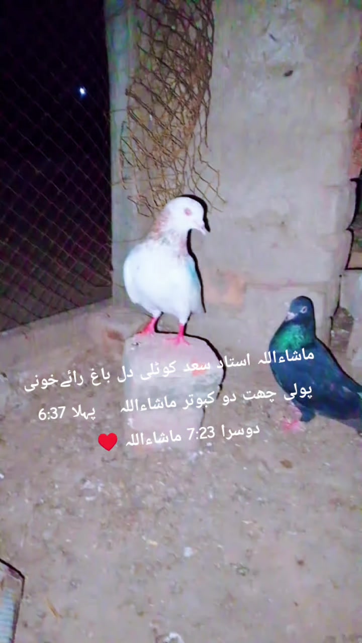 @کسی ایک کا ہو یار