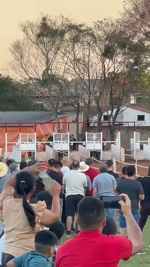 @Adriano Galeano Ozun