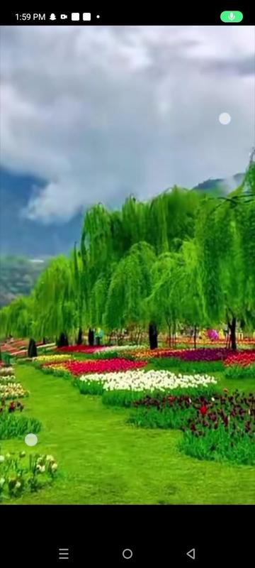 @Ibrahim wasim