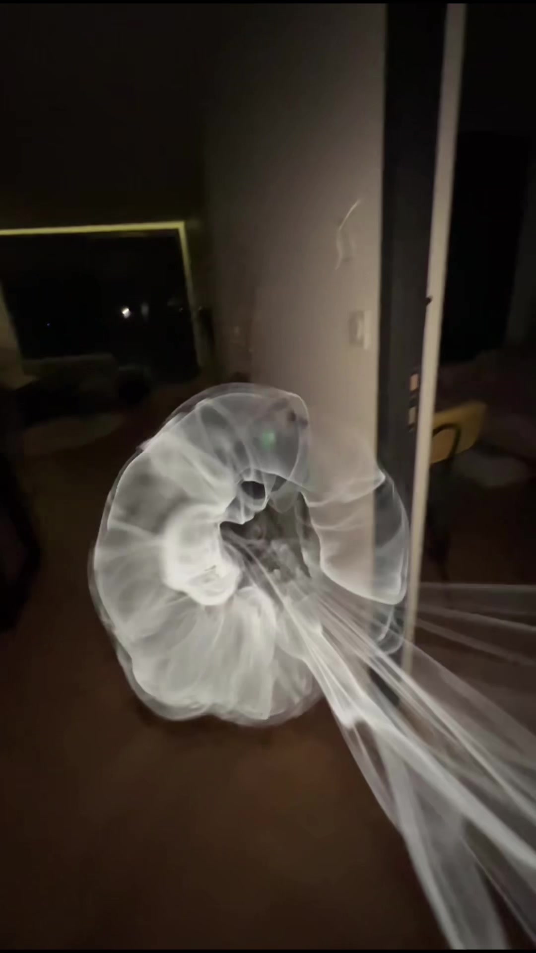 @user_jelly fish🪼