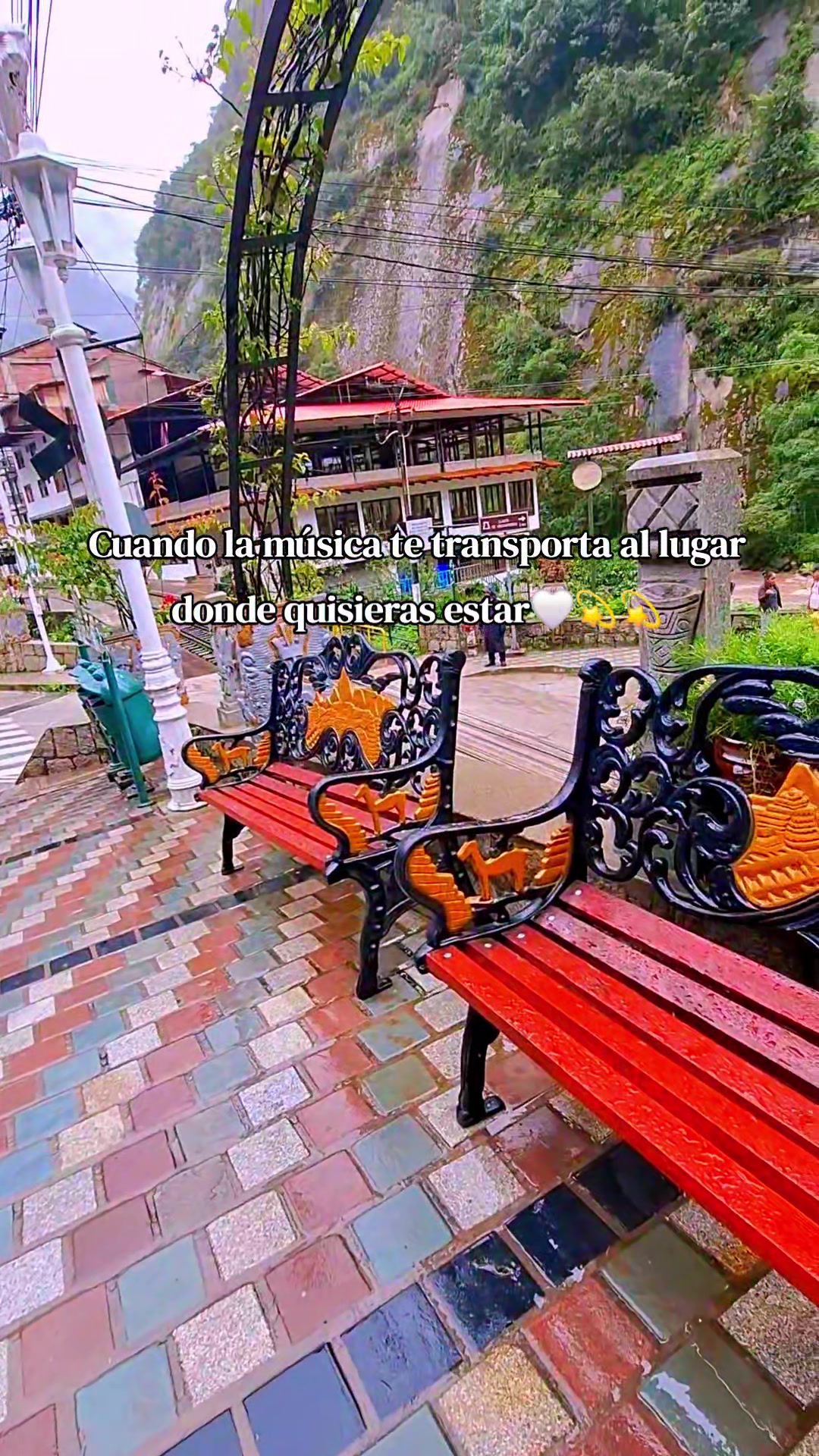 @🌻