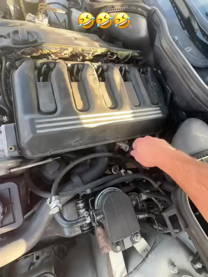 @Auto Nerguti