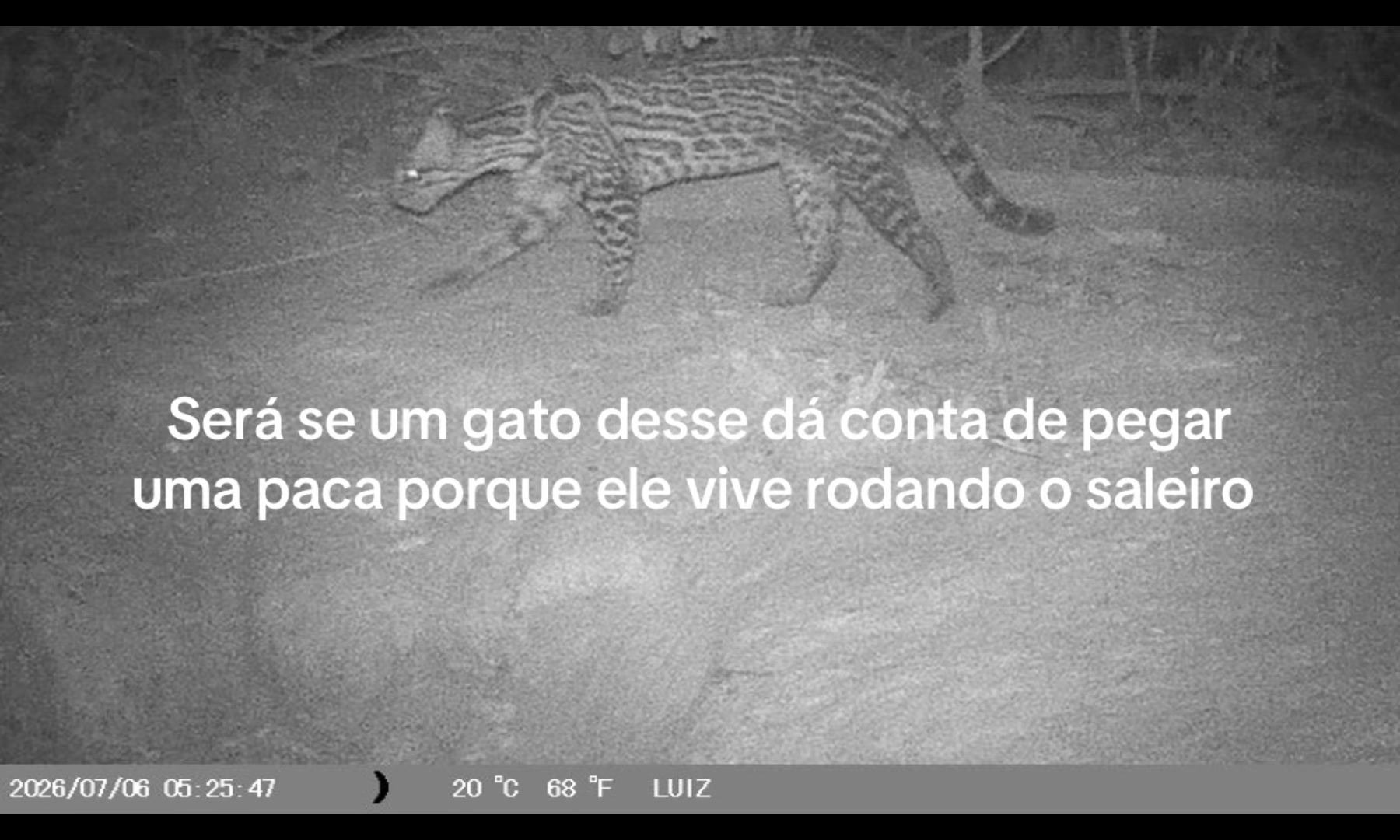 @Luiz Amorim dos Santos Filho