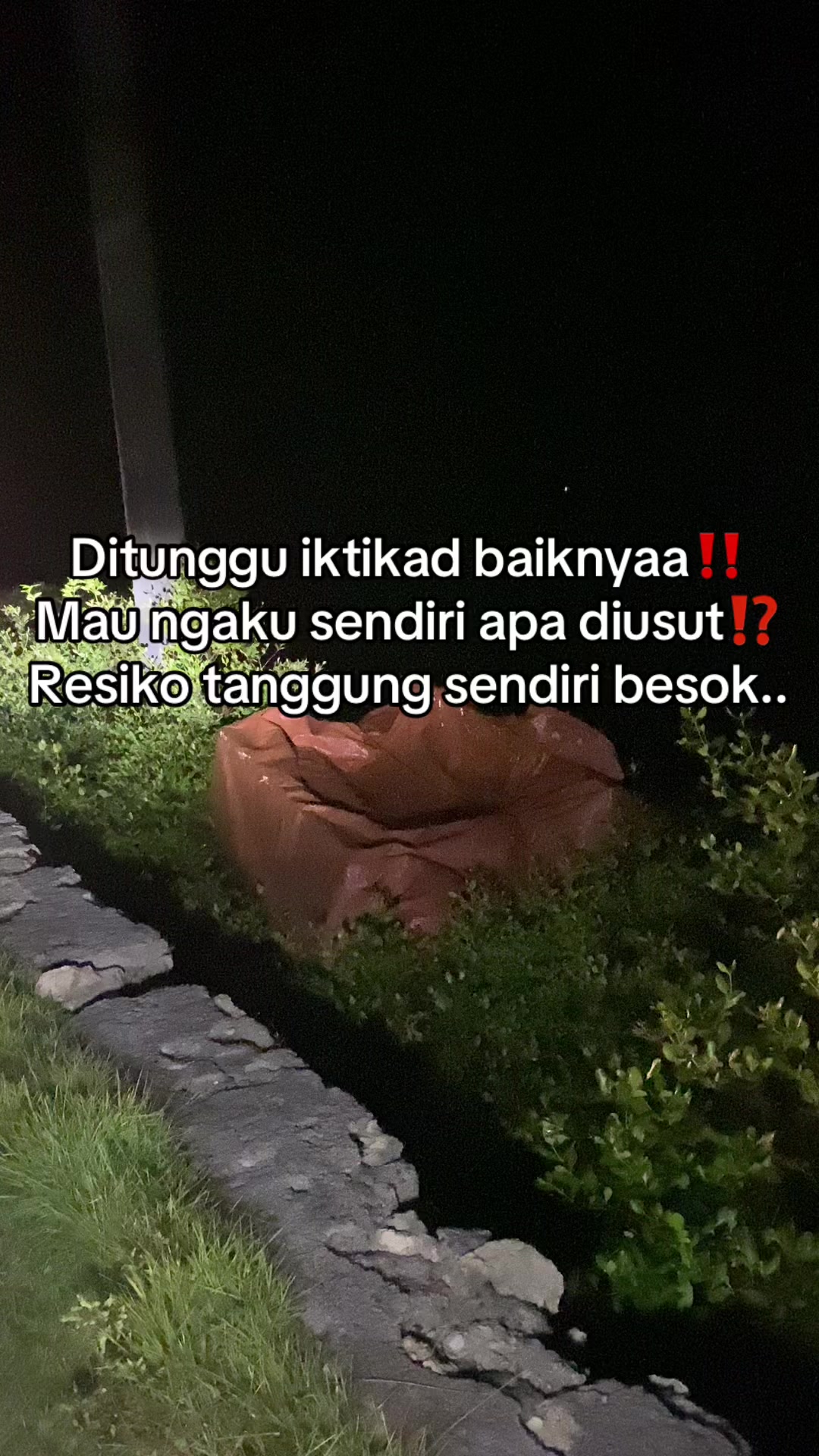 @Sunset Halodek