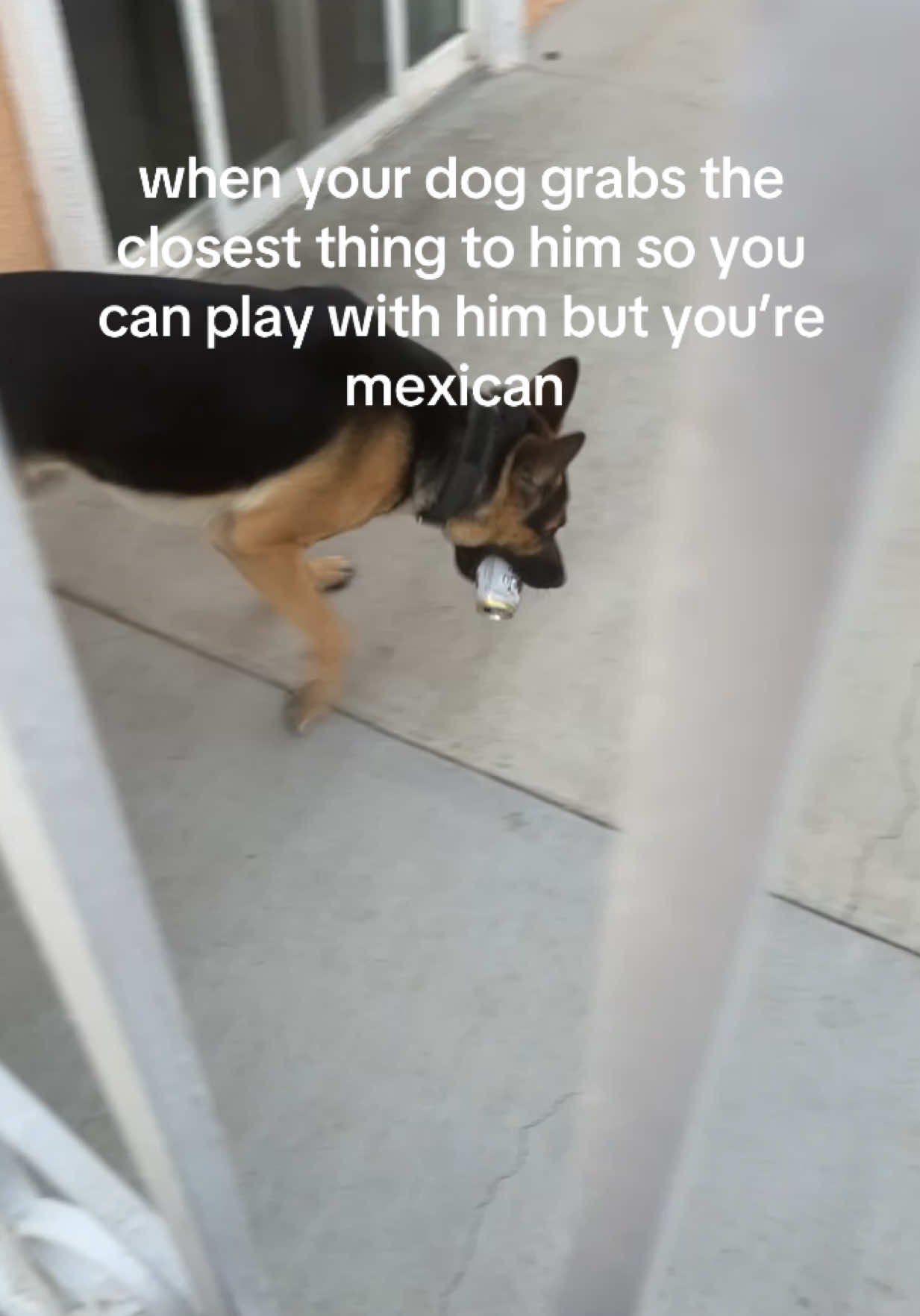 @hennybearr