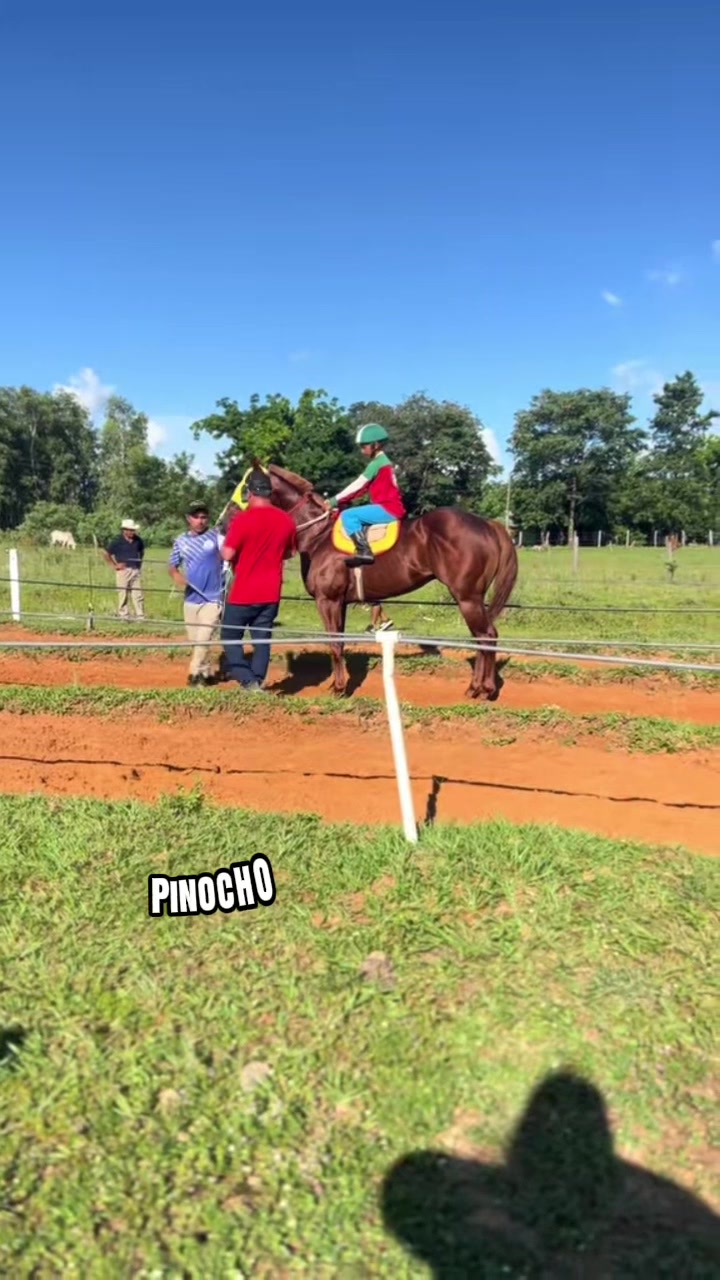 @hip&oacute;dromo Yataity Guair&aacute;.