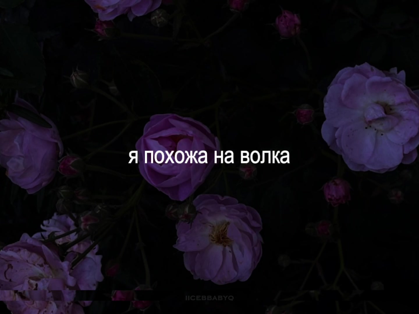 @lyrics 🎧
