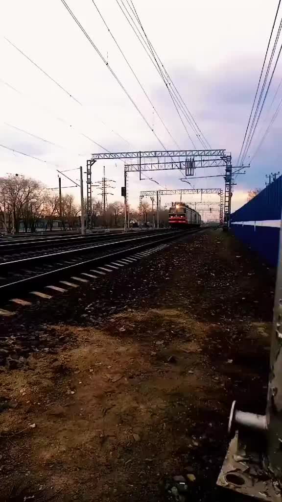 @ПСЫЖ_НАСТОЯЩИ