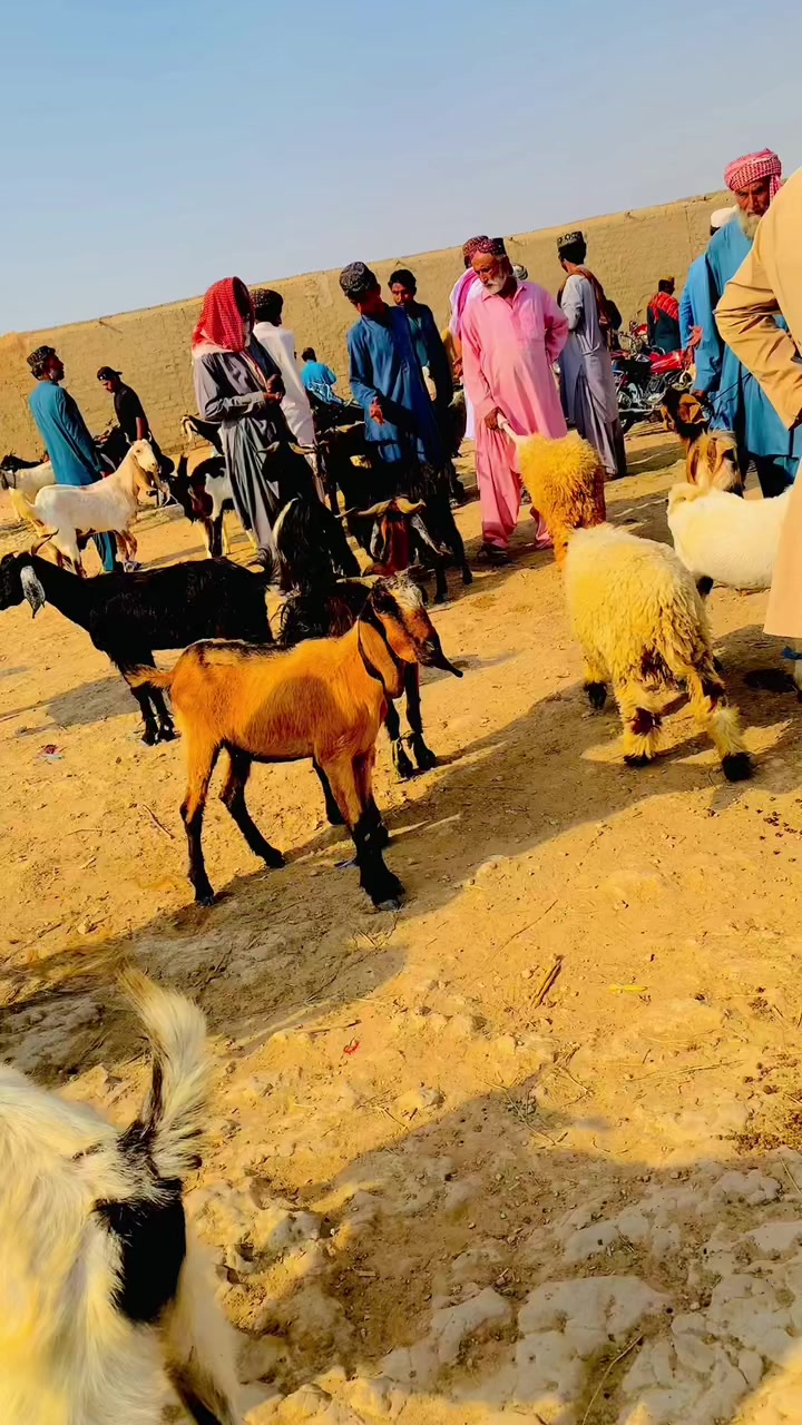 @Salahudin Bugti