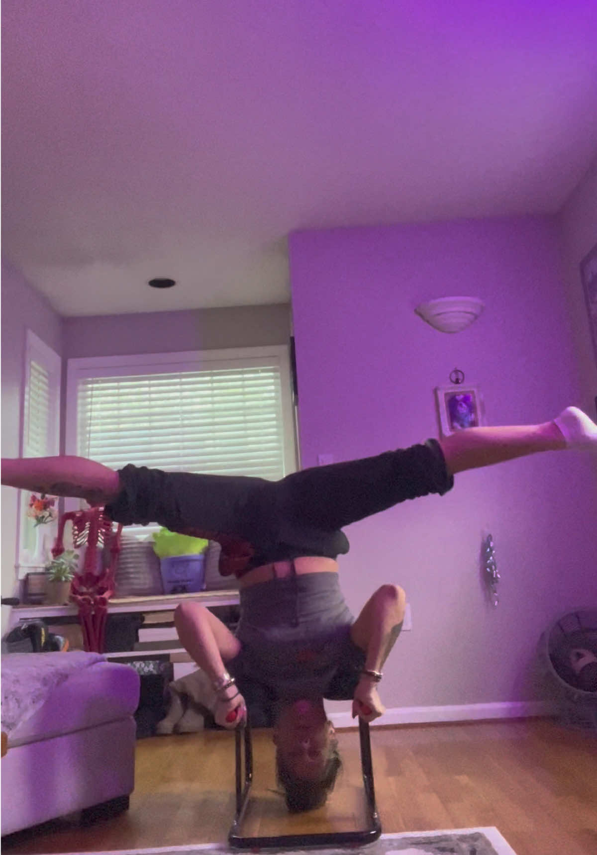 @gardengirl8440