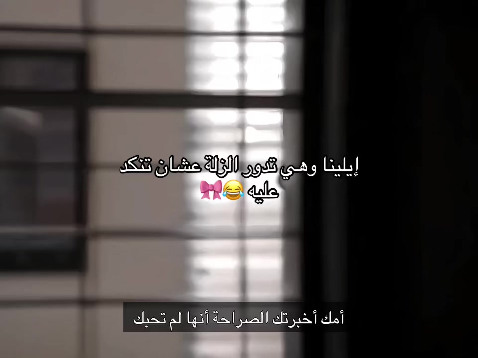 @damonelena25๐ฒ๐ฆ