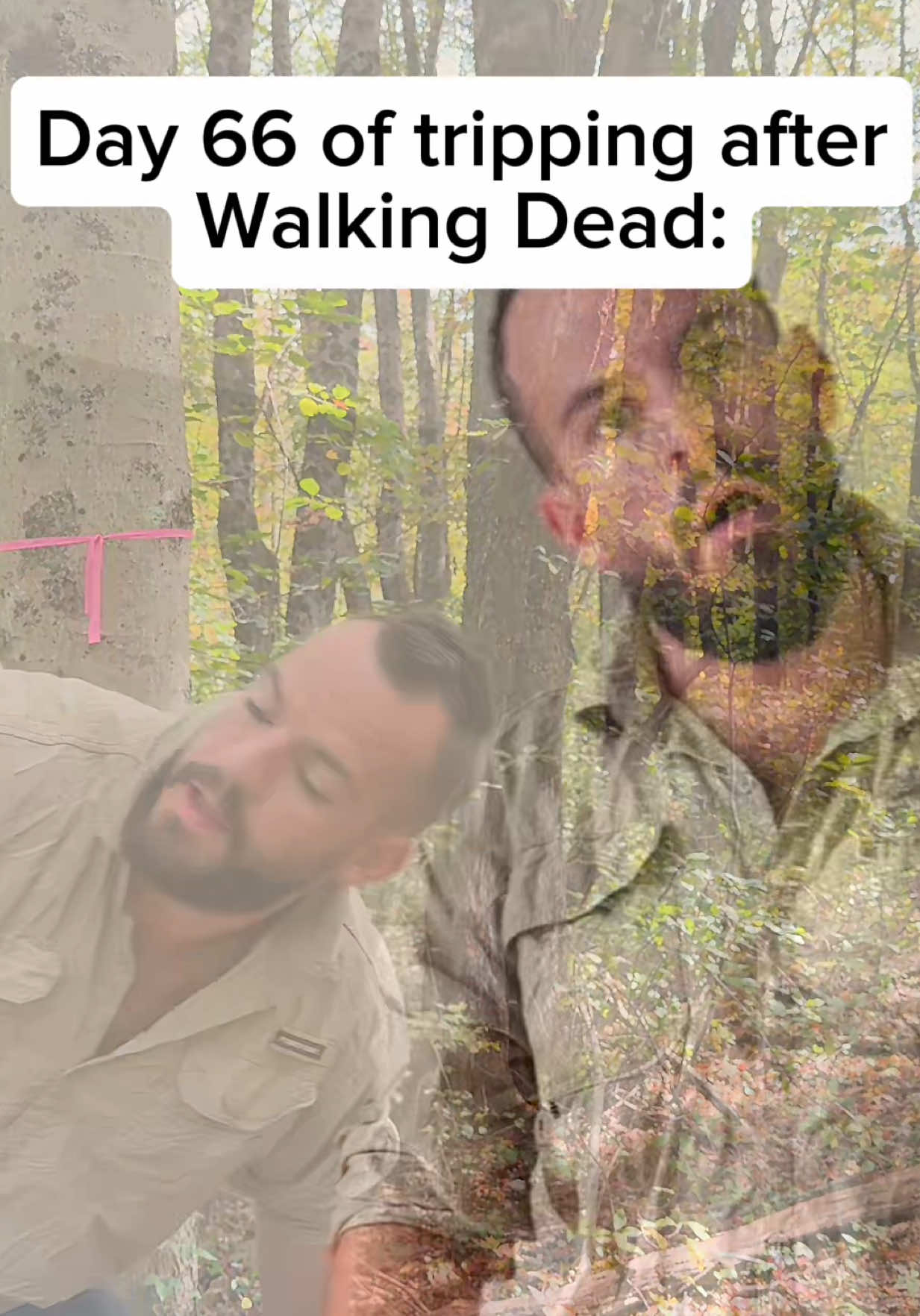 @Alex DiMauro [Voice Actor]