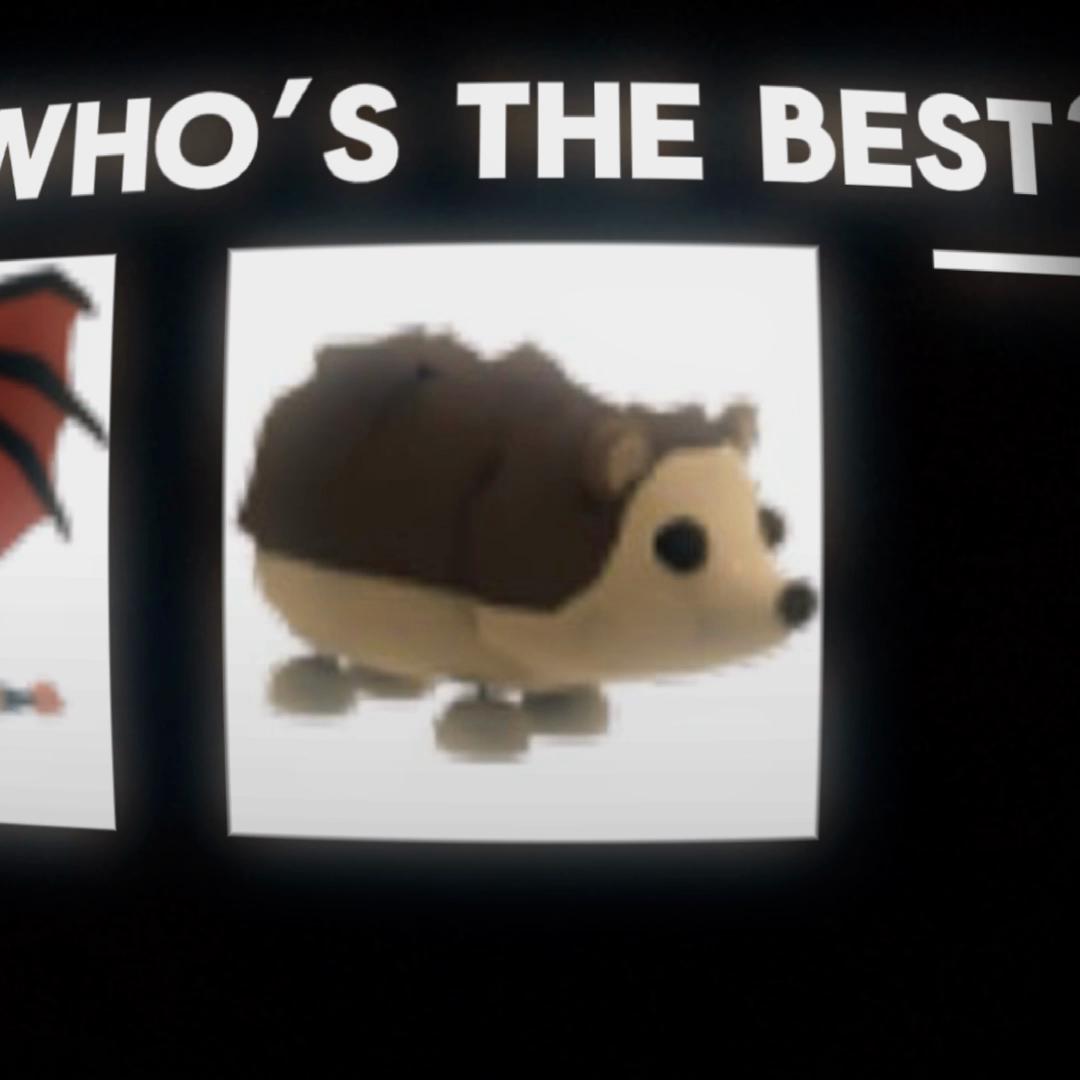 @whispipy
