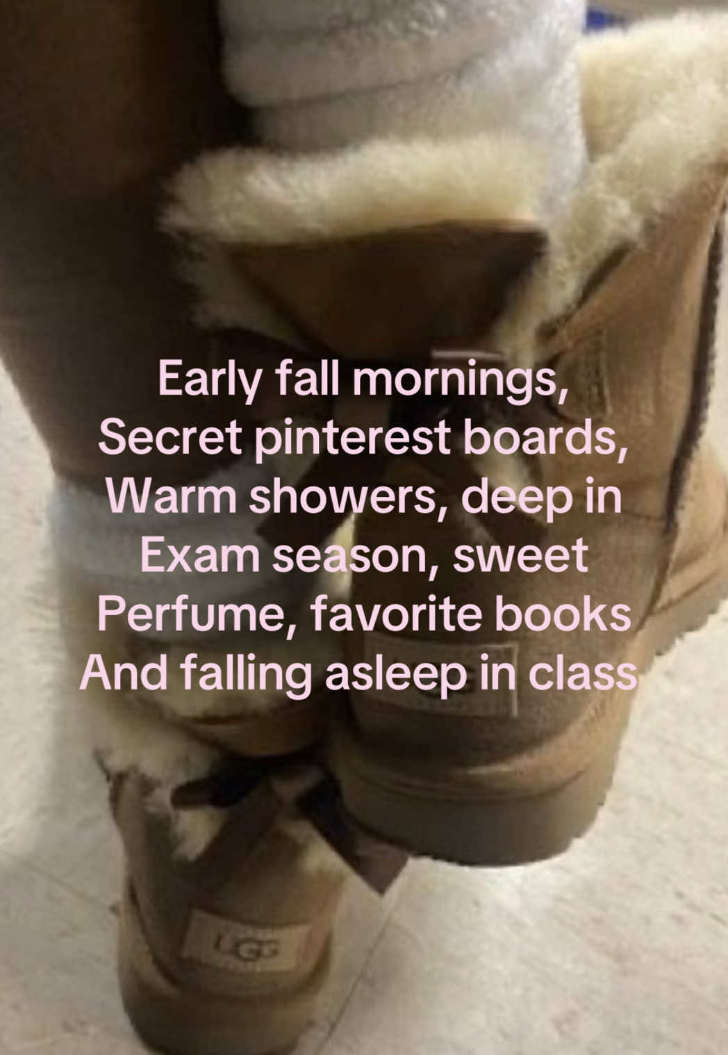 @𝒟.˚˖🦢𓍢