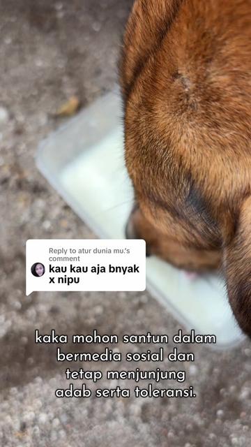 @kibbo