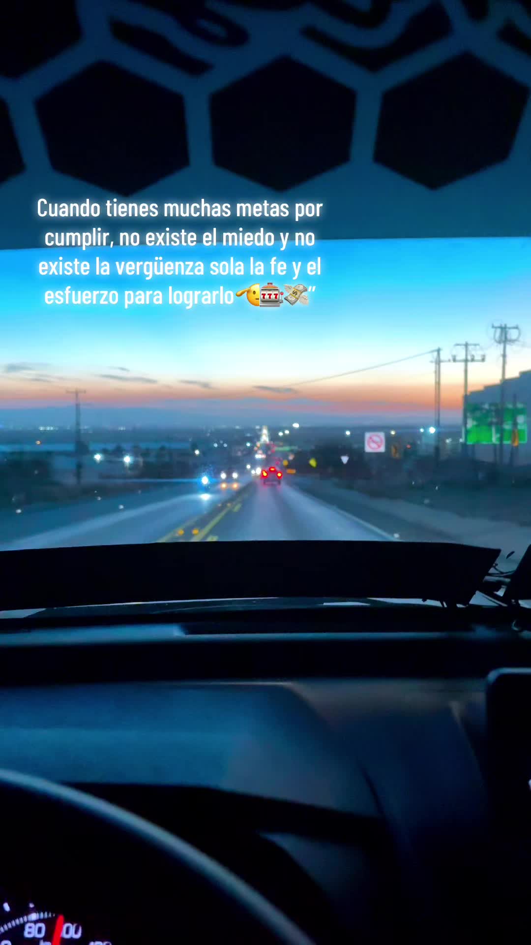 @🌻TORRES🌻