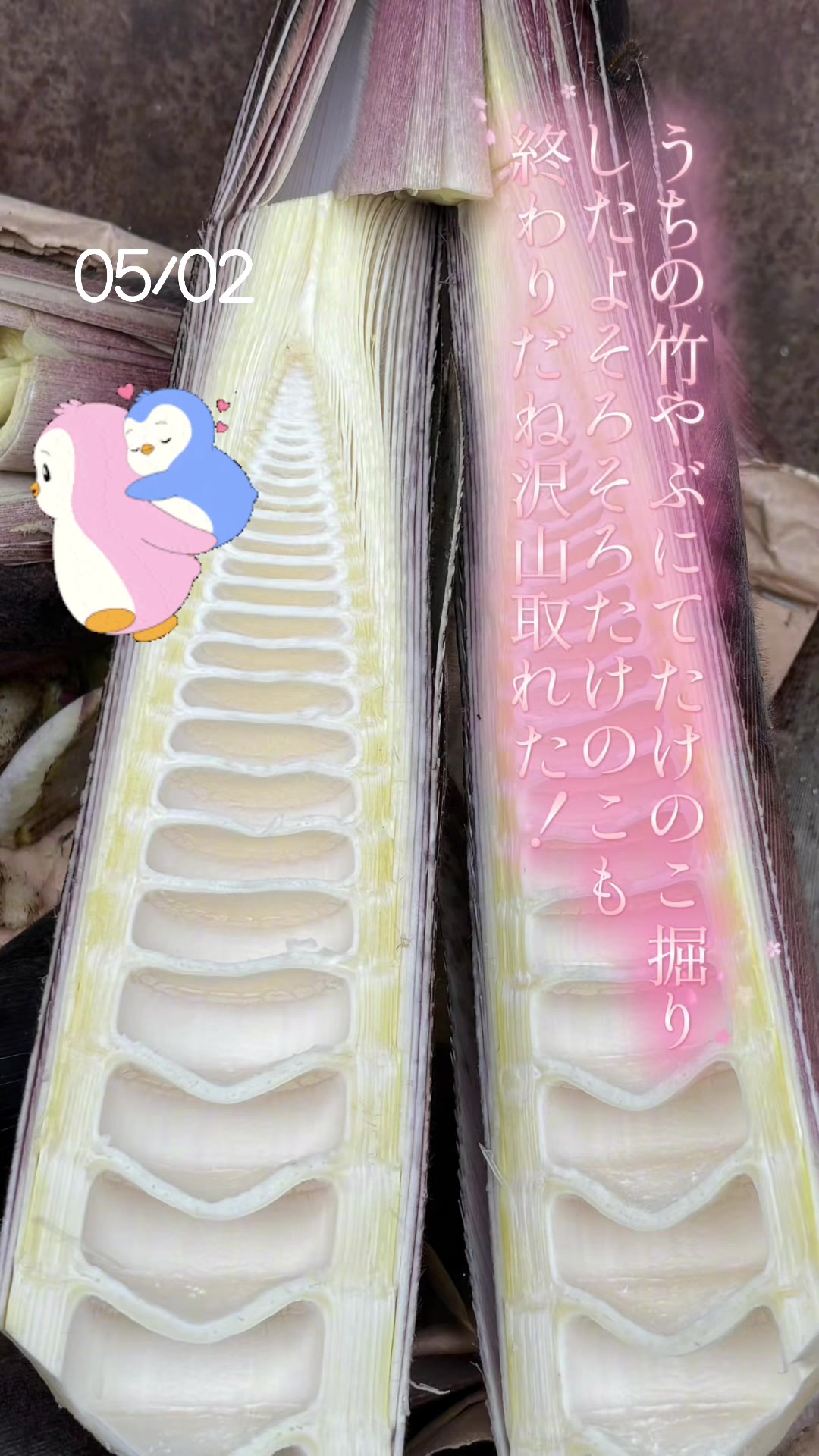 @リサたん