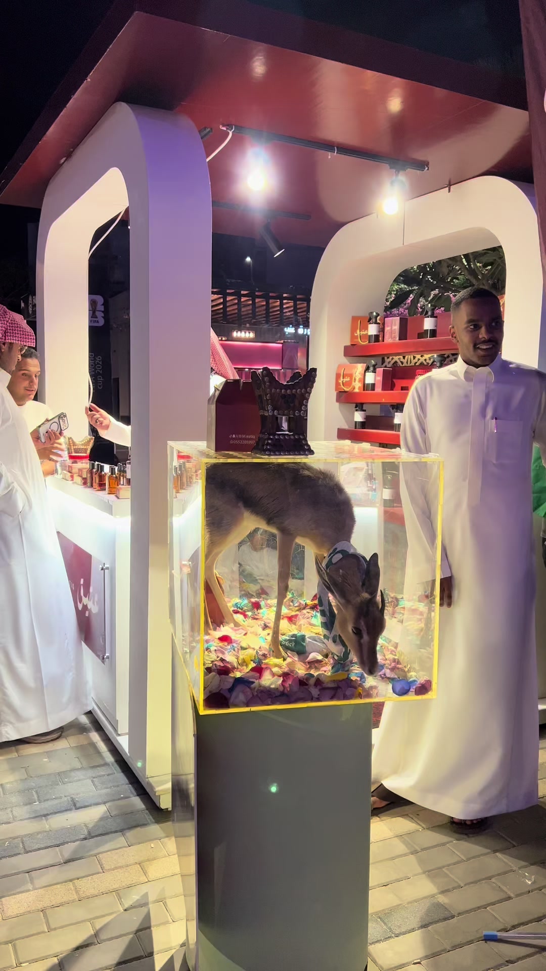 @فيصل عبدالله | AL-NUMARI