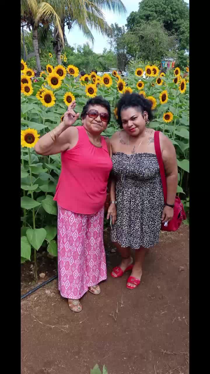 @Yucatán plus tour