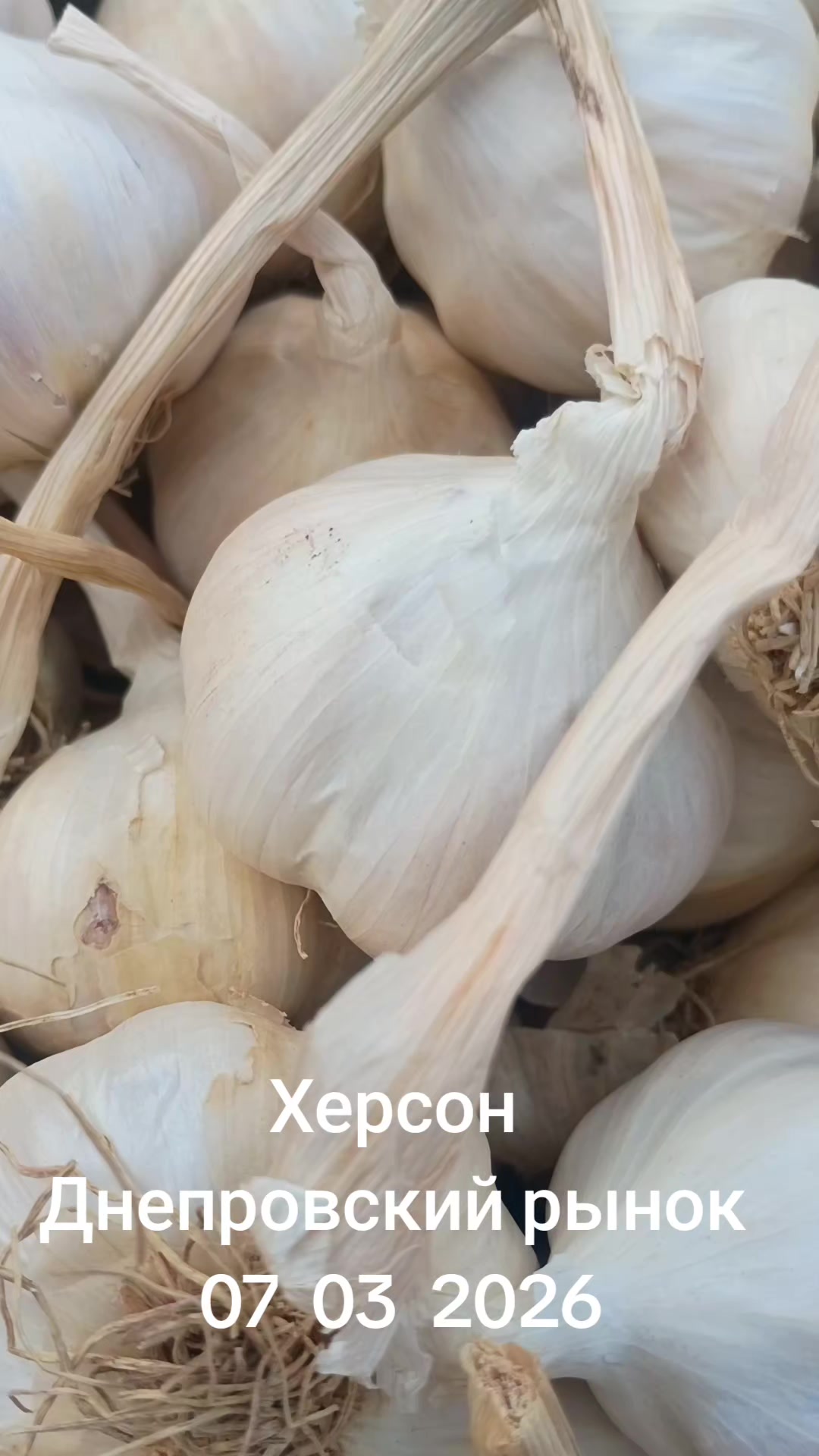 @IOSIF99999