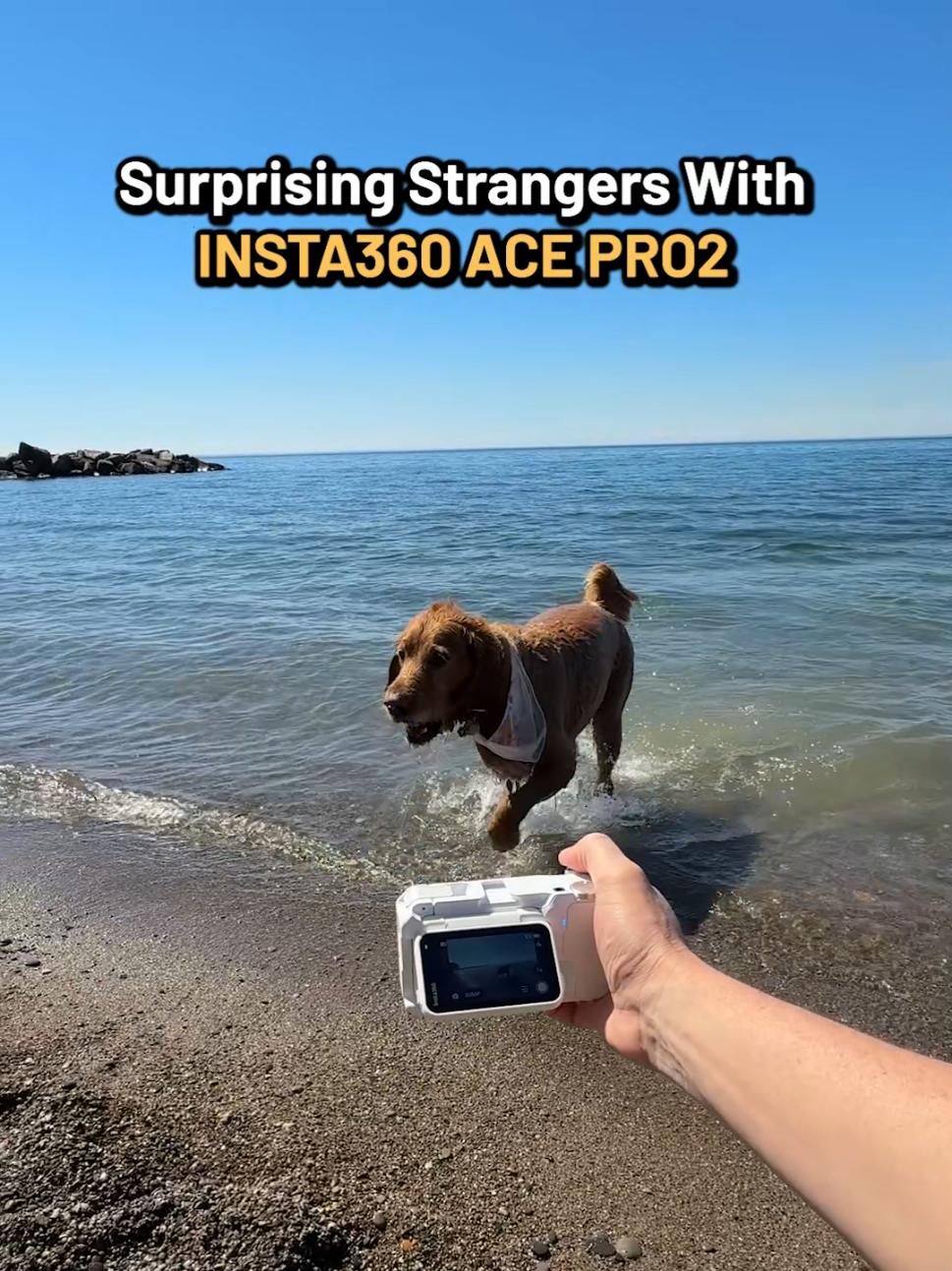 @happy2find