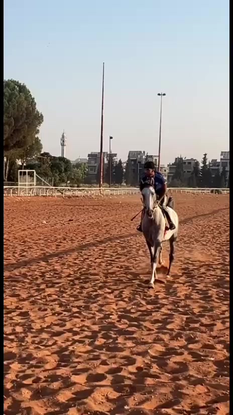 @أحمد(☆▽☆)البيراوي(☆▽☆)