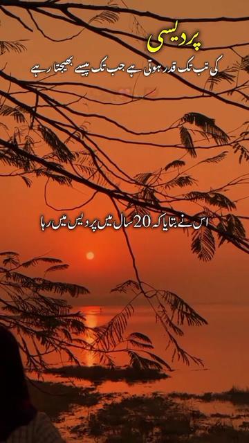 @kamran