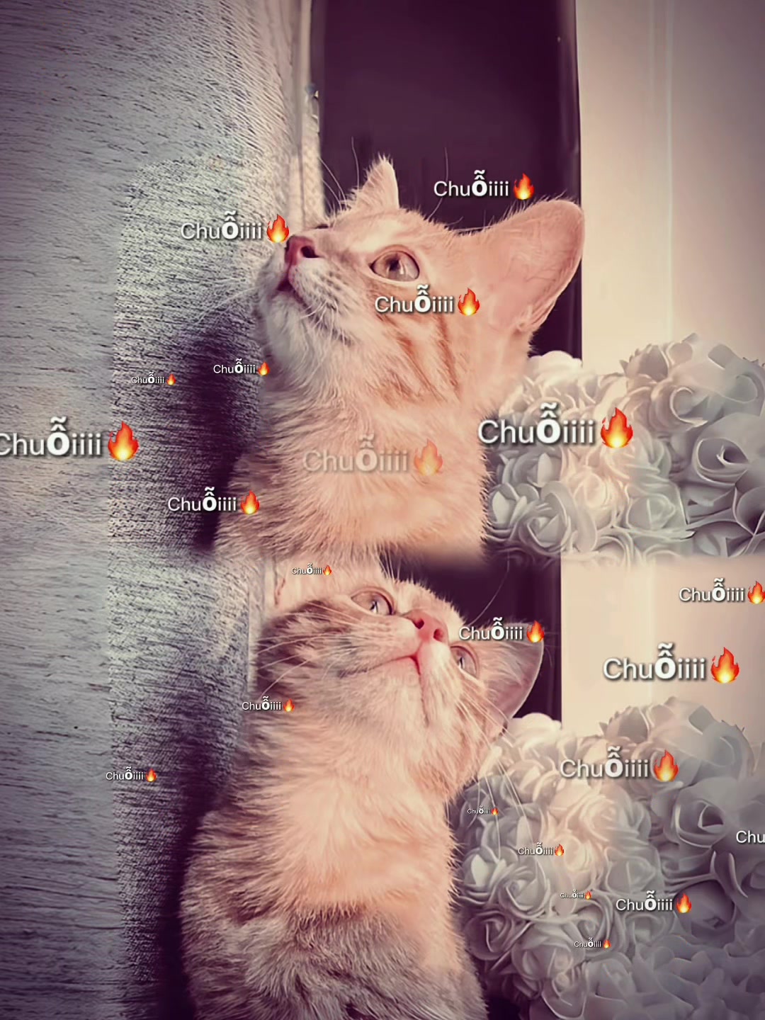 @𝓵