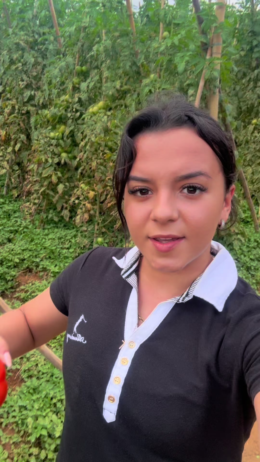 @aroceiraa