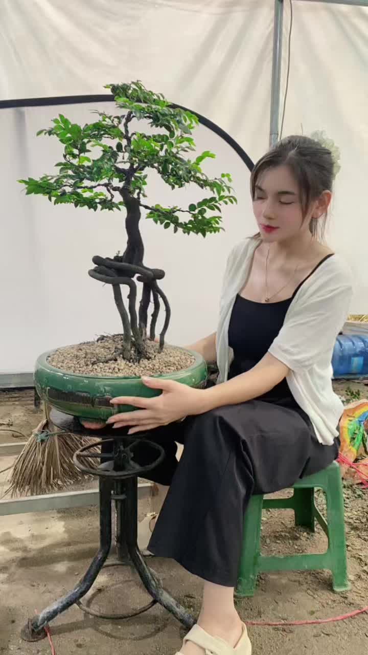 @Khổng La