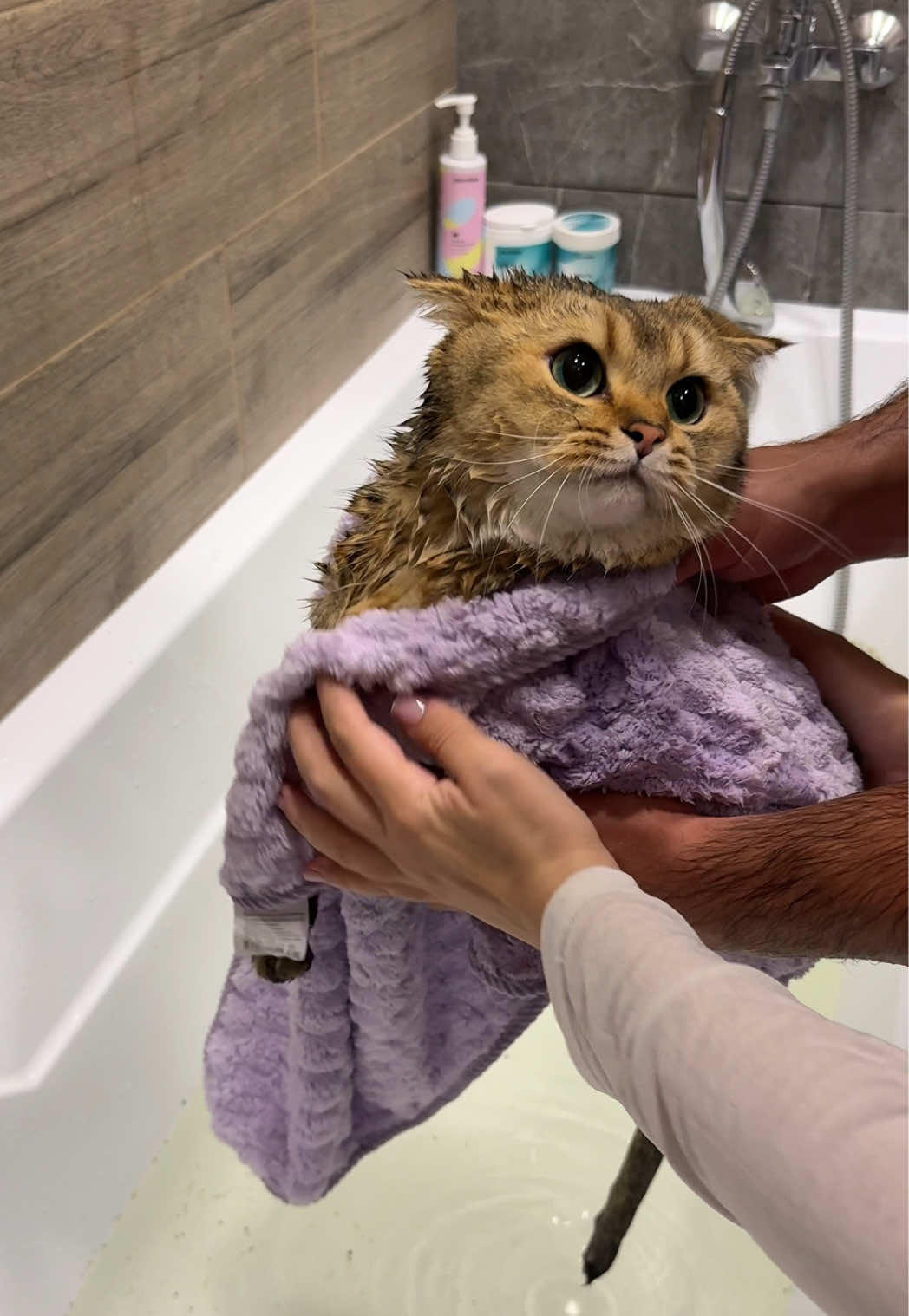 @Владочка