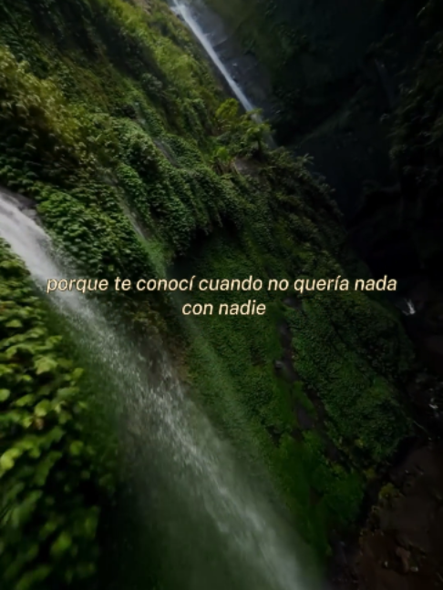 @Sanando a tu ex