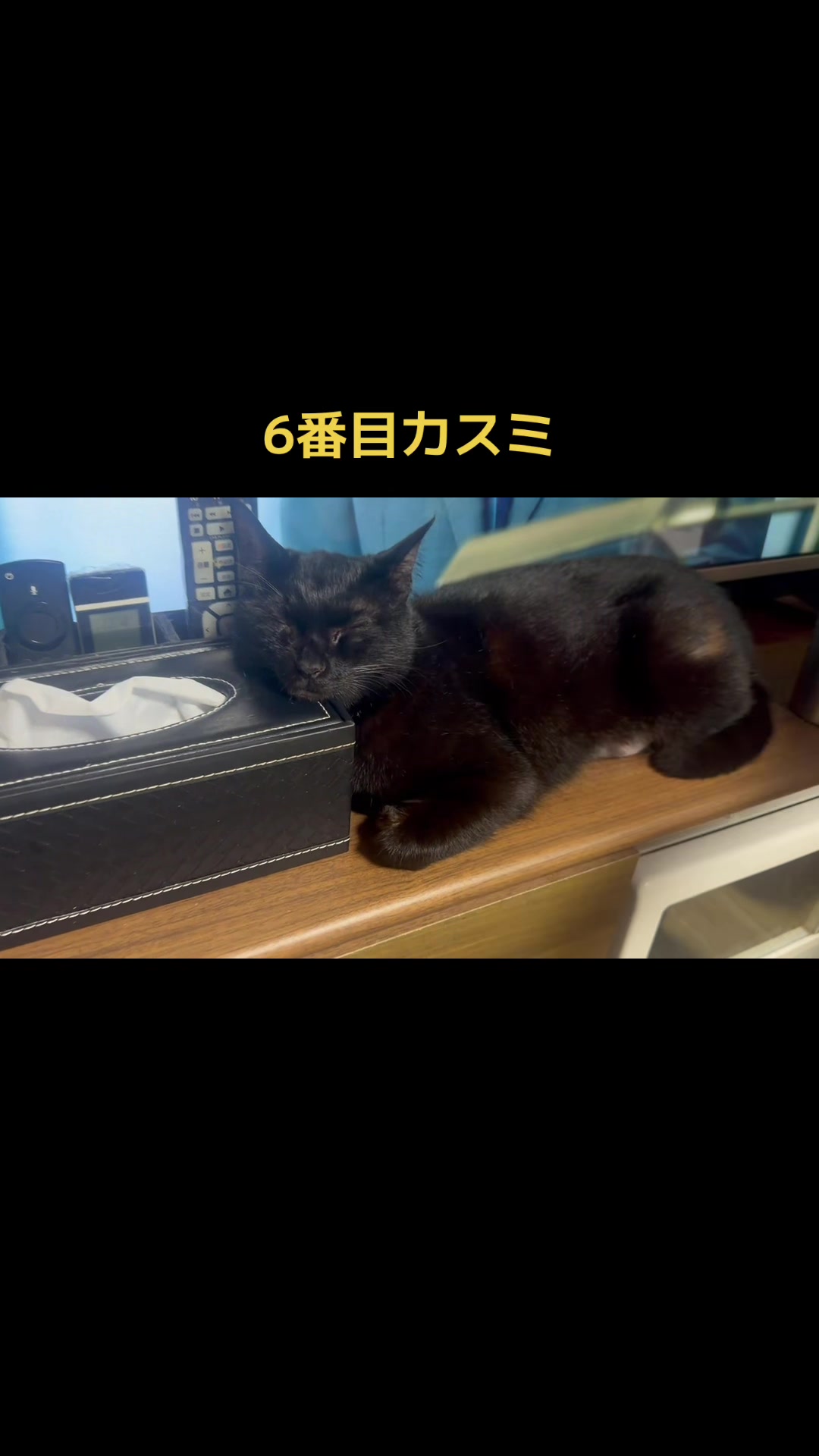@てるぼー