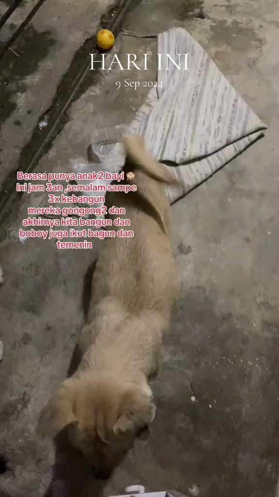 @Boboy.mayday