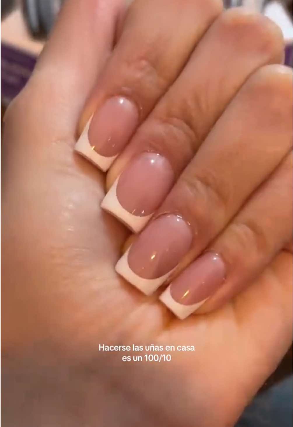 @katnseek
