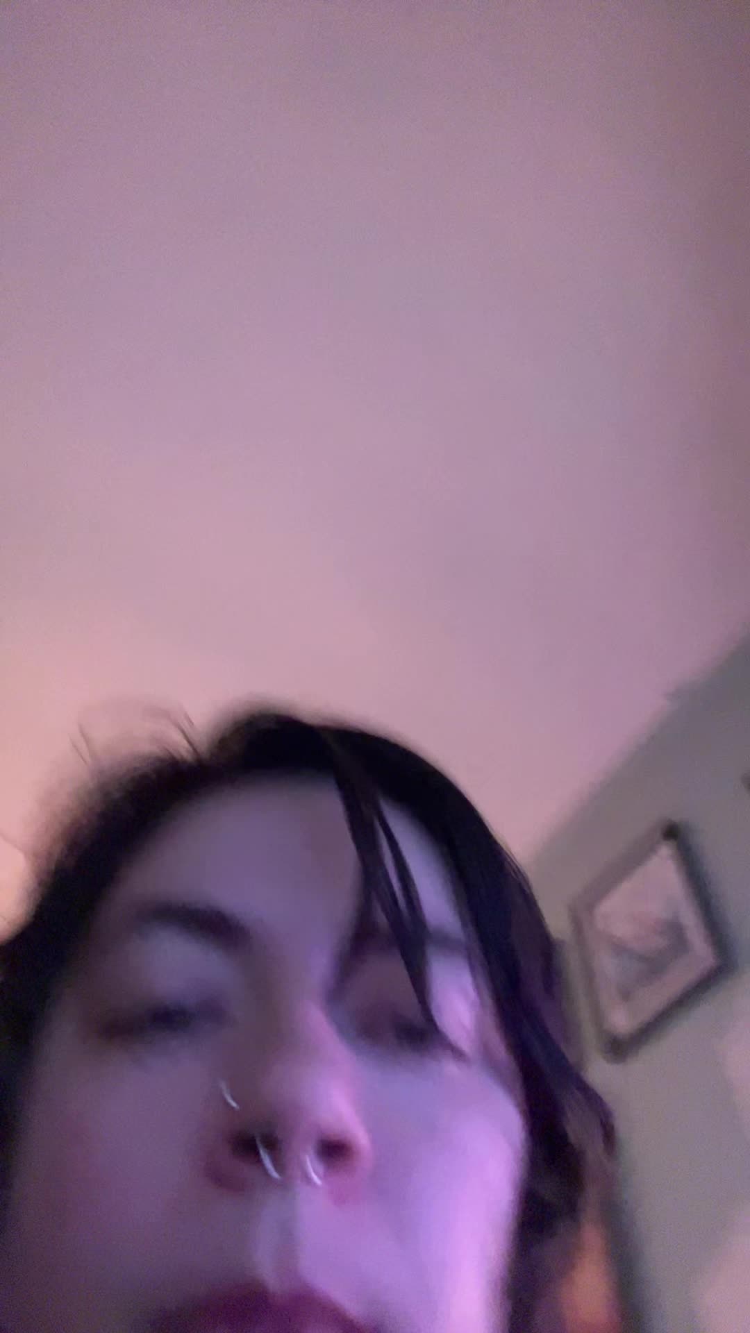 @landofdaddy