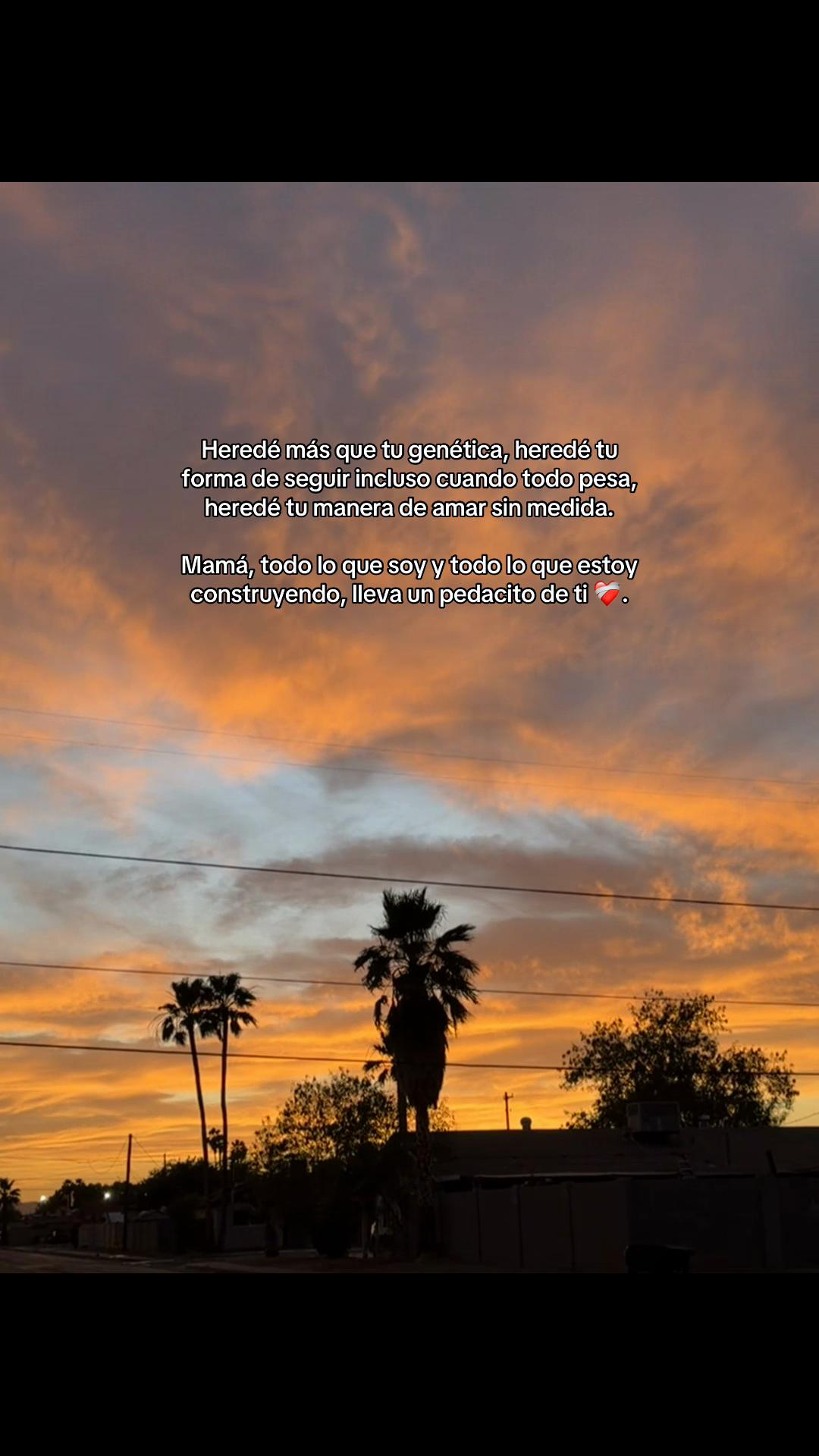 @&bull;𝚈𝚊𝚜𝚖𝚒𝚗