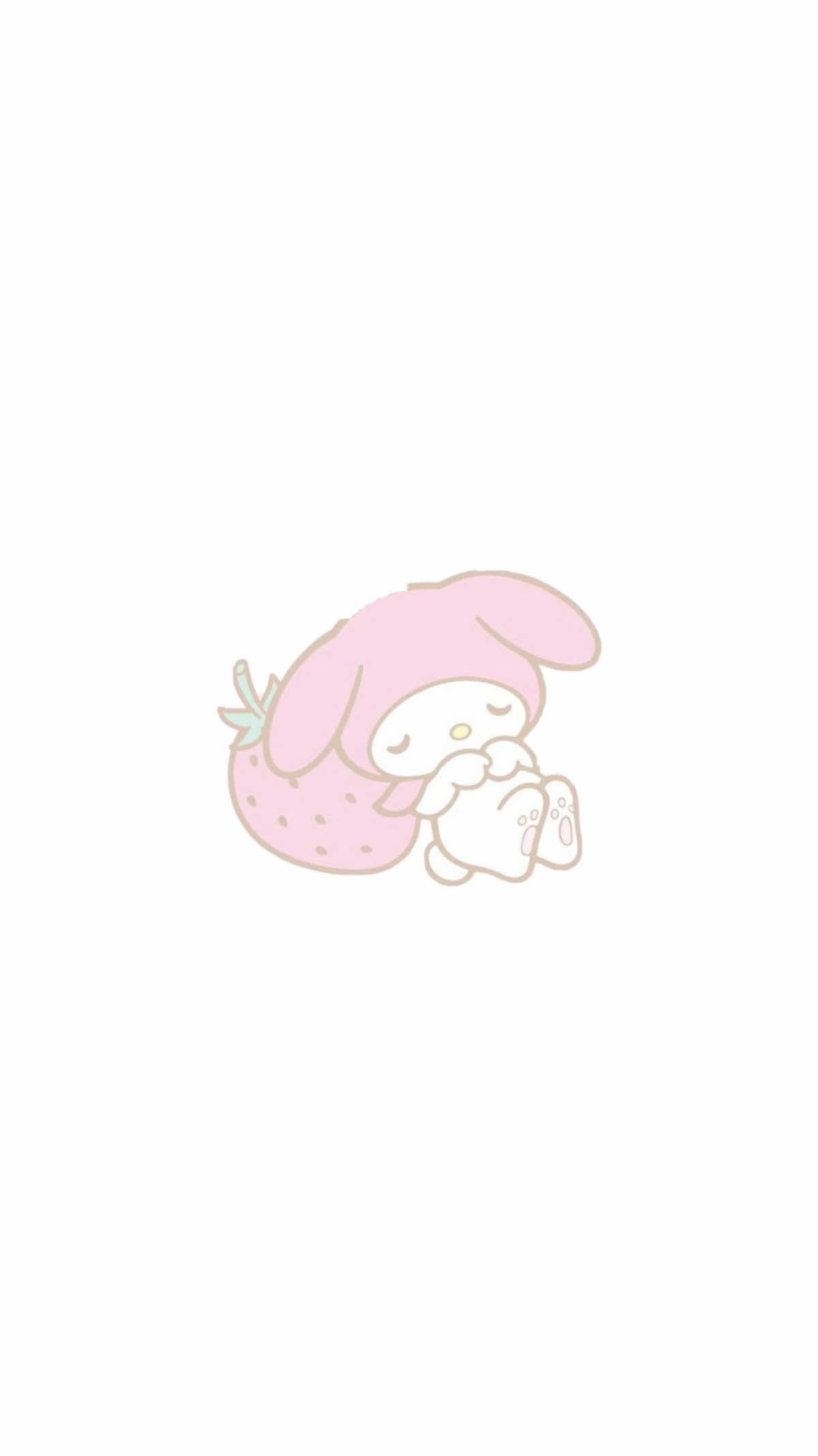 @Momo🐈⬛