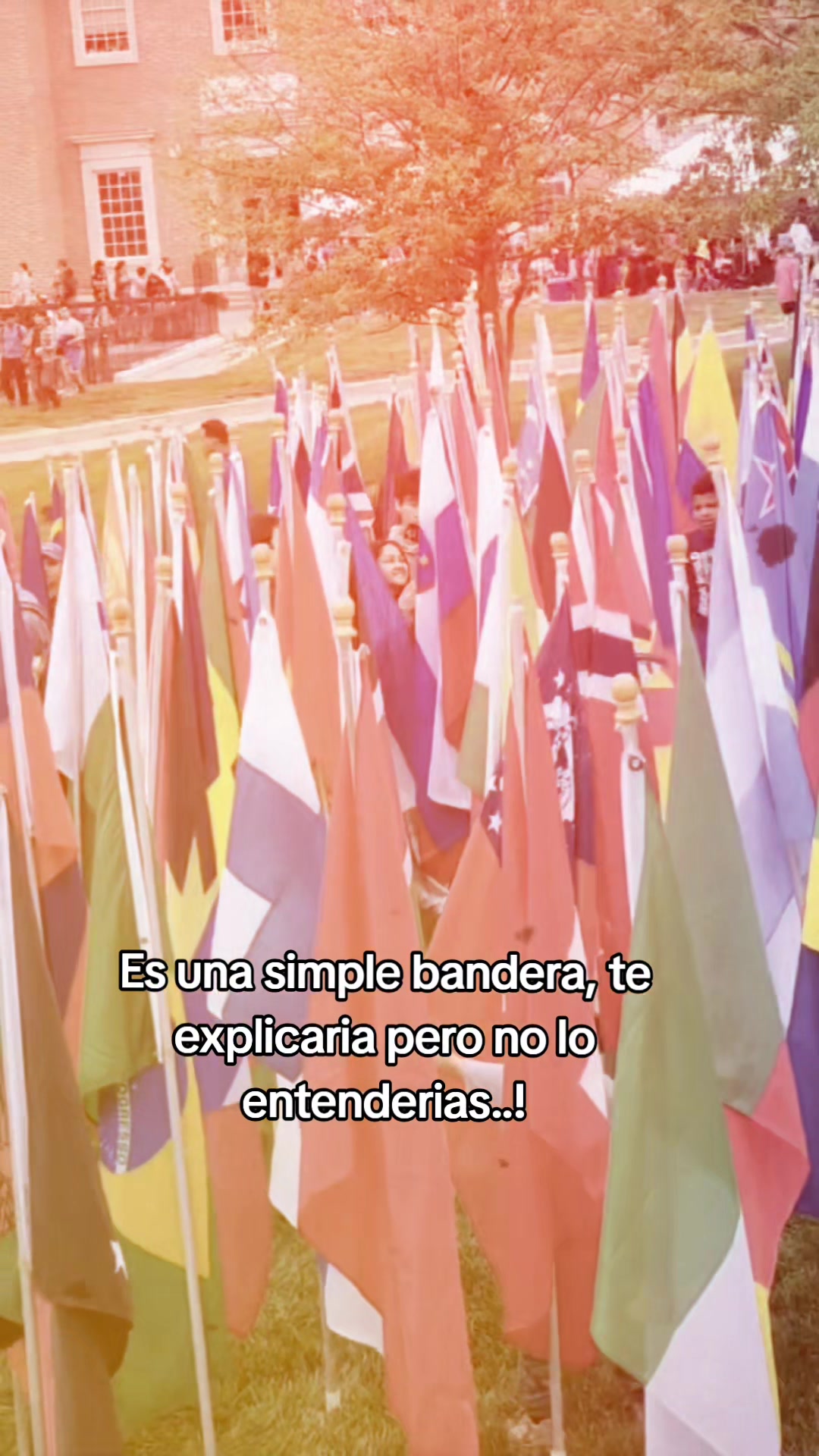 @Alexa Ecuador 100%