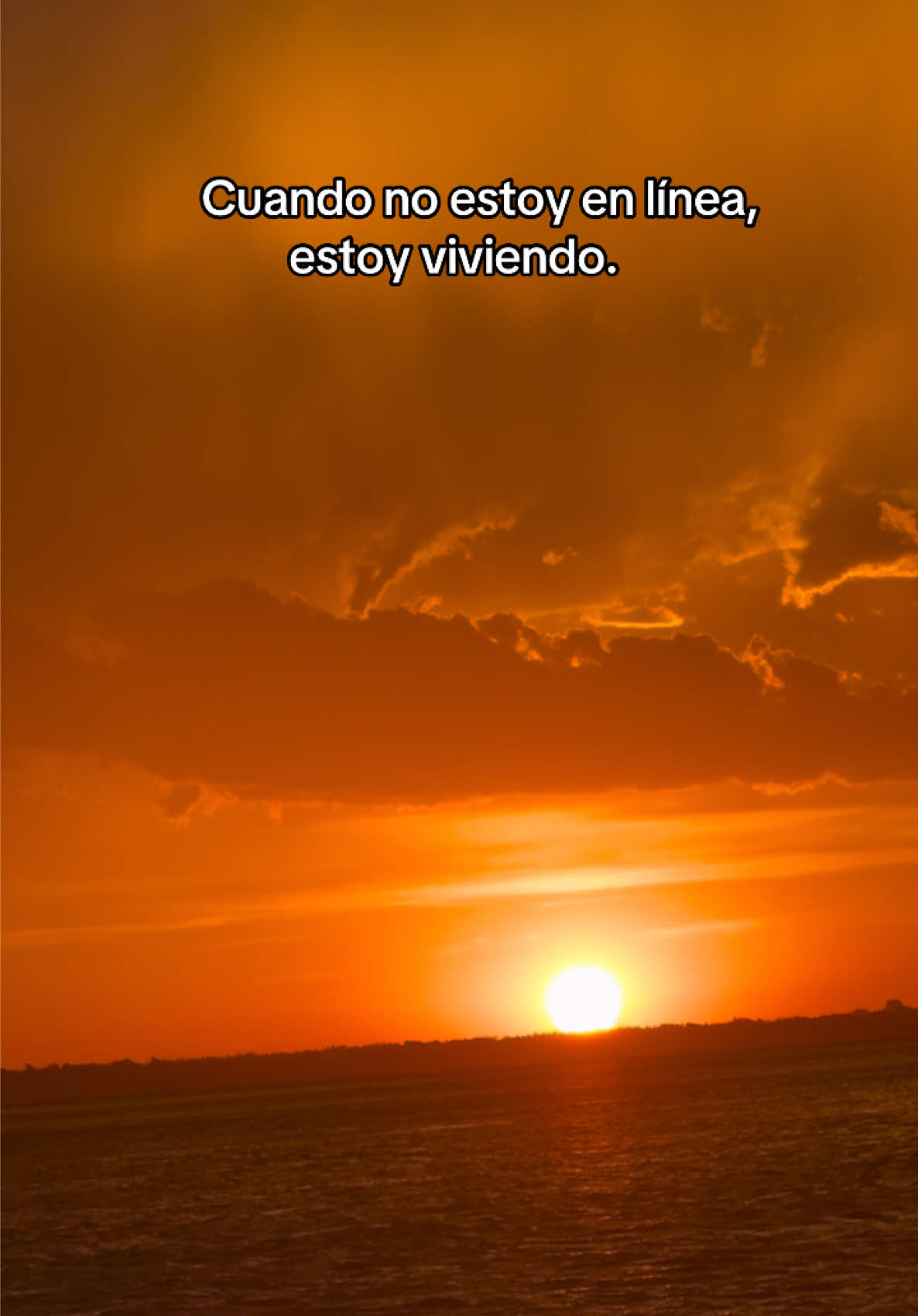 @Leticia Dalila
