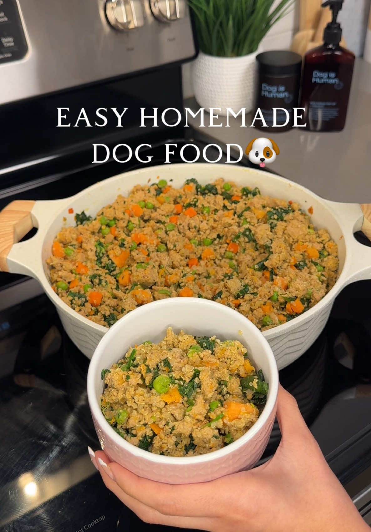 @Dog Bites Daily