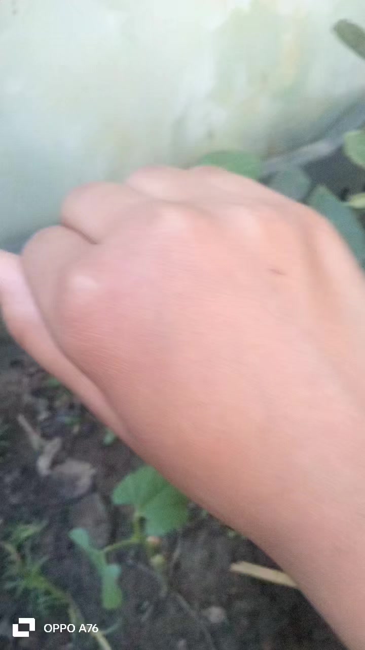 @sopnokomary