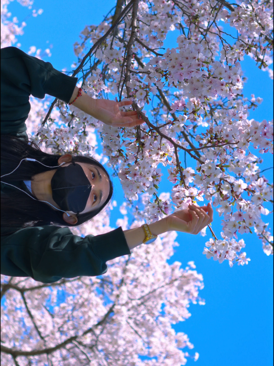 @Sashiburijapan