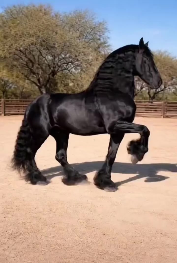 @Валентина Гусева
