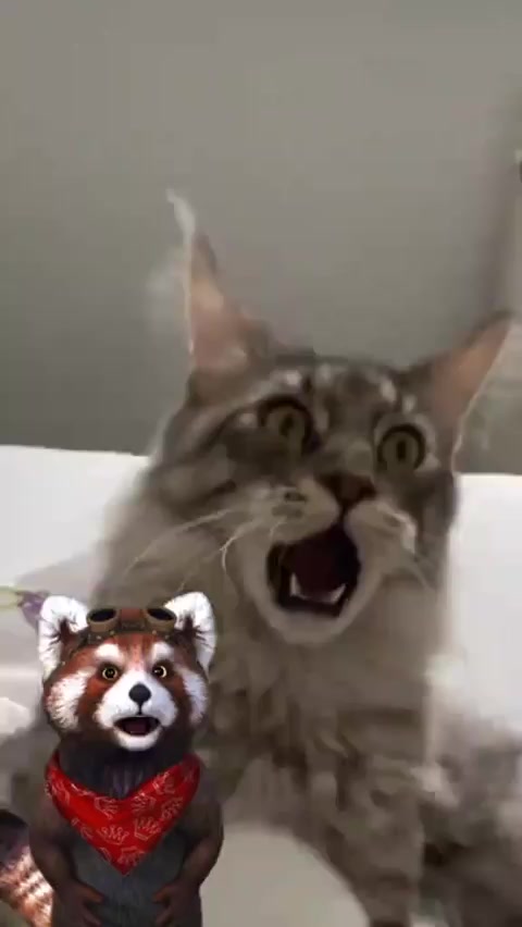 @❤❤❤сладкая звёздочка❤❤❤